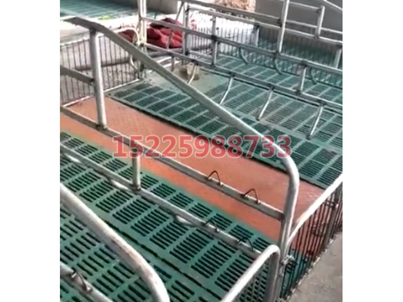 128套母豬產（chǎn）床安裝（zhuāng）